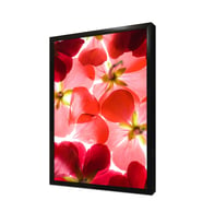 Çiçek Çerçeveli Mdf Tablo