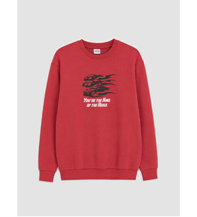 LC WAIKIKI Pembe Baskılı Erkek Çocuk Sweatshirt