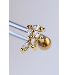 Sabit Kazayağı Gold Piercing