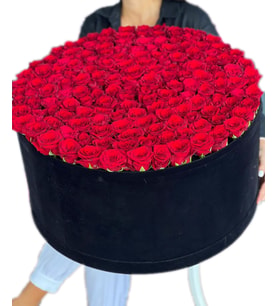 Black 100 Kırmızı Gül