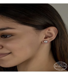 S-warovski Crystal Taşlı Gümüş Çivili Kadın Küpe