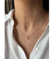 Kişiye Özel Örümcek Model Kolye 925K Gümüş (Gold)