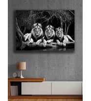 Koç stüdyo Modern tasarım kanvas tablo 50x70 (Çok Renkli)