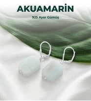 Luxtone Sertifikalı Akuamarin 925 Ayar Gümüş Küpe Kadın Takı LX1640KP