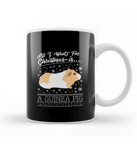 All I Want For Christmas Is A Guinea Pig Knit Pattern Kupa Bardak Porselen