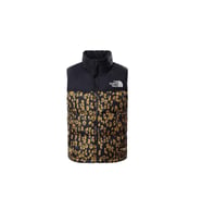 The Northface W PRINTED 1996 RETRO NUPTSE VEST - EU Kadın Yelek NF0A5IXL28A1 (Siyah)