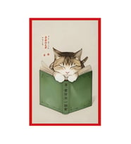 Kitap Okuyan Kedi Çizimli Hediye Not Kartı & Kartpostallar – Sevimli ve Şık Tasarım  10x15 cm (Mavi - Yeşil - Kahve - Gri)