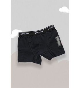 Miorre Boxer Erkek Çocuk 44005 (Lacivert)