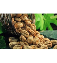 Yeni Mahsul Kuru İncir 1.Kalite Bandırılmış 1 kg