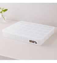 Şeffaf Organizer Box 40 Bölmeli