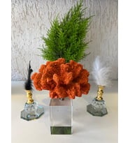 MERCAN TURUNCU POLYESTER DEKORATİF HEDİYELİK EŞYA SARE HOME COLLECTION 18X13
