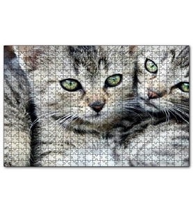 Cakapuzzle Tekir Yavru Kediler  Puzzle Yapboz MDF (Ahşap) (120 Parça)