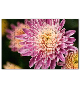 Cakapuzzle Sarı Pembe Çiçek Yakın Çekim Flu Arkaplan Puzzle Yapboz MDF (Ahşap) (120 Parça)
