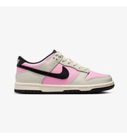 Nike Dunk Low         FB9109-601
