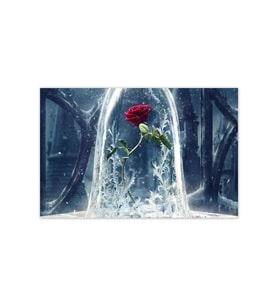 Ahşap Tablo Güzel Ve Çirkin Sembolik Kırmızı Gül -35-50 Cm