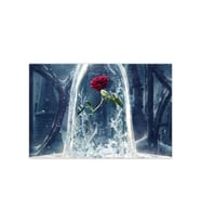 Ahşap Tablo Güzel Ve Çirkin Sembolik Kırmızı Gül -35-50 Cm
