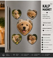 Kalp Fotoğraf Magneti Evcil Hayvana Özel Kişiselleştirilebilir Patili Dost Anı Hediye Seti