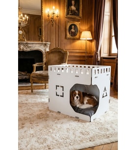 Ahşap Köpek Kulübesi Dekoratif Köpek Evi Beyaz Renk Küp Model
