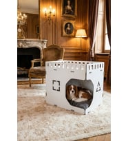 Ahşap Köpek Kulübesi Dekoratif Köpek Evi Beyaz Renk Küp Model
