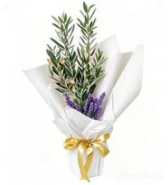 BUKET KAGIDINDA ZEYTİN AGACI TASARIM