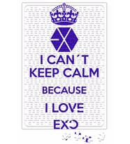 Exo i Cant Keep Calm Puzzle 240 Parça Yapboz
