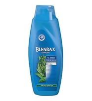 Blendax Şampuan 550Ml Isırgan Özlü Şampuan