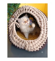 El örgüsü rahat ve şık kedi yuvası, konforlu uyku alanı