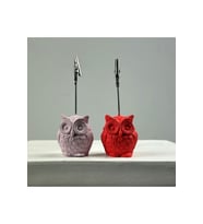 Baykuş Not Tutucu 2'li Set (pembe - Mercan)