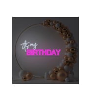 its my BIRTHDAY Yazılı Neon Tabela
