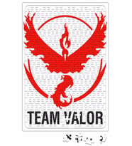 Team Valor Puzzle 240 Parça Yapboz