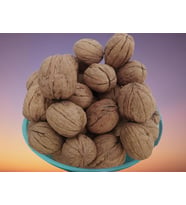 Ceviz Bahçemizden Ince Kabuklu Kolayca Kırılır Chandler Doğal Üretim 5 kg