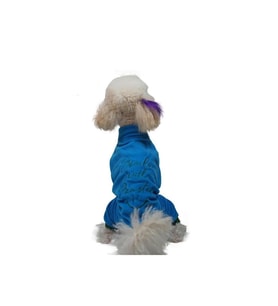 Pawstar Kedi ve KÜÇÜK Köpek Mavi Smile Tulum M Sırt28cm Göğüs41cm Boyun26cm