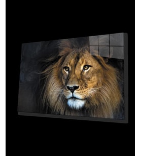 Aslan Hayvan Cam Tablo 4mm Dayanıklı Temperli Cam