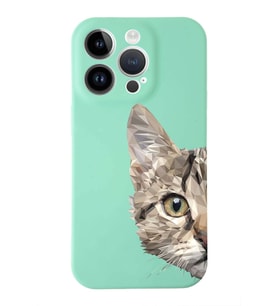 Apple iPhone 14 Pro Max  Lansman Kılıf Catface  Tasarımlı Altı Kapalı İçi Kadife Kaplı  Kapak (Şeffaf)