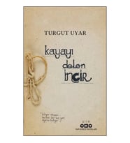 Kayayı Delen İncir