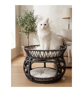 Yumuşak ve rahat Çok Katlı Kedi Ranzası ile Keyifli Dinlenme Alanı