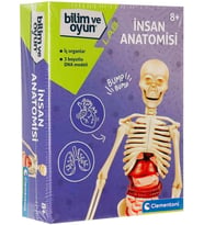 - 64297 - İlk Keşiflerim - İnsan Anatomisi