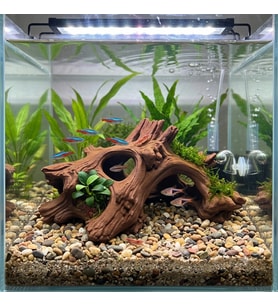 3D PETG Akvaryum Ağaç Kökü Dekoru Batabilen Süs KP3D10410