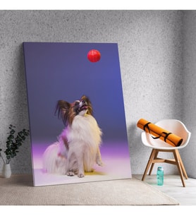 Kırmızı Top Oynayan Papillon Köpek Dekoratif Kanvas Tablo