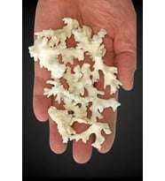 50 Gram Beyaz Mercan Küçük Parçalar 9BM