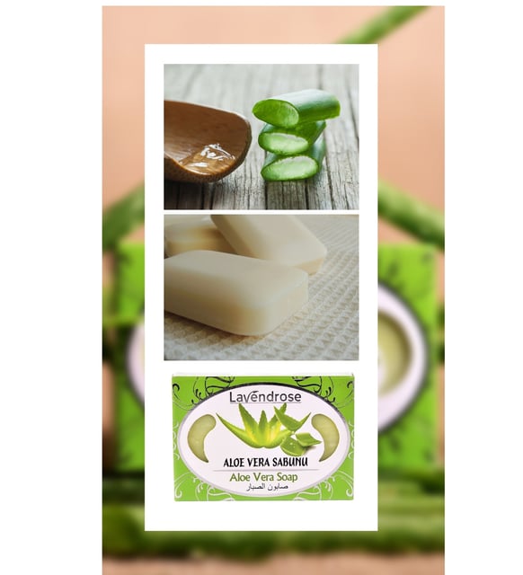 aloe vera pflanze kosten Echte Aloe