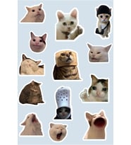 Kedili Sticker Seti (13 Adet)
