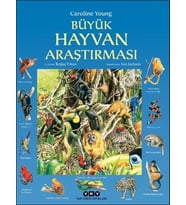 Büyük Hayvan Araştırması