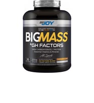 Bigjoy Sports BIGMASS Gainer GH FACTORS 3000g