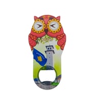 Kosova Temalı Baykuş Magnet Kapak Açacak (Karışık)
