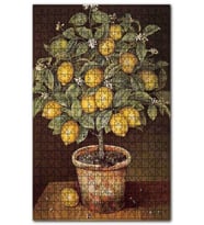Cakapuzzle Saksıda Limon Ağacı Resm Görseli Puzzle Yapboz MDF (Ahşap) (120 Parça)