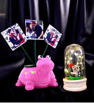 Size Özel 3 Fotoğraflı Pembe Kaplumbağa & Işıklı Sevimli Pandalı Fanus