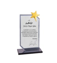 Kristal Cam Plaket Füme renk metal yıldızlı