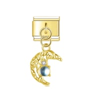 Aytaşı ve Hilal Gold Çelik İtalyan Charm