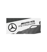 Formula 1 Mercedes Minyatür Araç